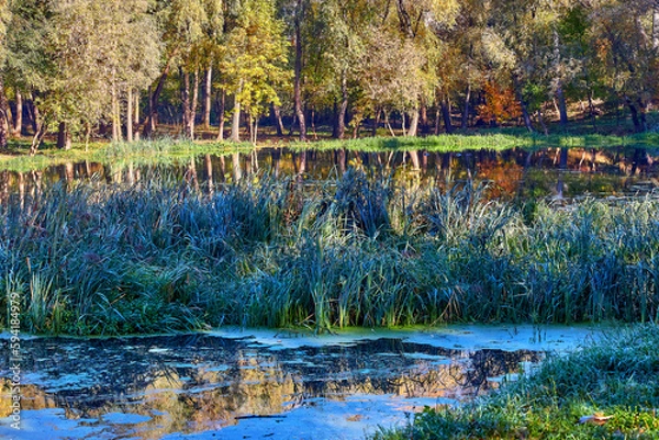 Obraz Autumn Rechka Psel - will be an excellent gadget screensaver