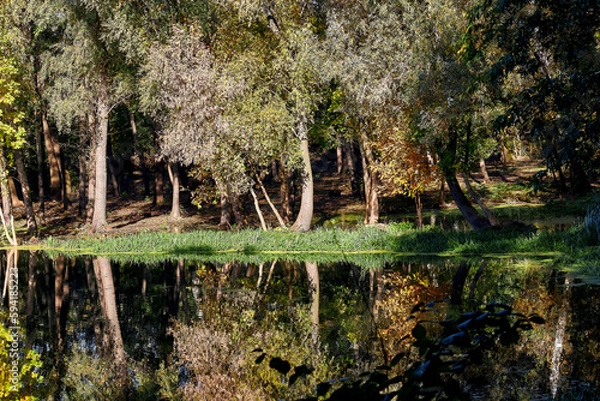 Obraz Autumn Rechka Psel - will be an excellent gadget screensaver