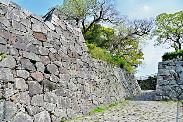 Fototapeta 福岡城天守台への道　福岡県福岡市