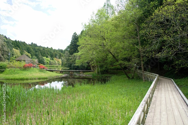 Obraz 七ツ洞公園の池