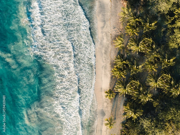 Fototapeta Aerial top drone view on sand beach,palm tree and ocean on the caribbean island of Martinique, France. Famous Plage des Salines beach.