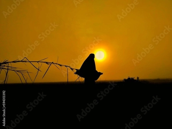 Obraz silhouette of a witch flying over the moon