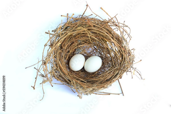 Fototapeta Bird's nest with two white egg in it isolated over white background. Eggs in straw nest.