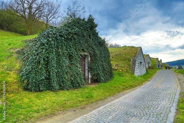 Fototapeta Old cellars near Tokaj
