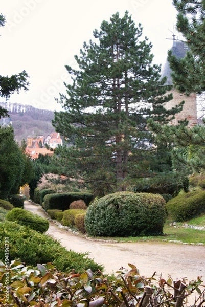 Obraz Rapunzel tower with park in Wernigerode