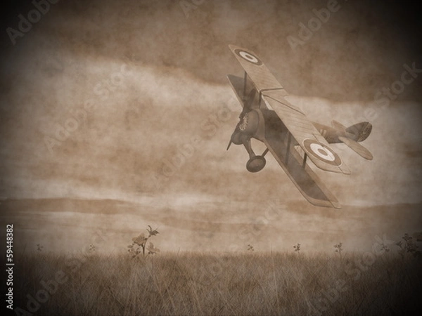 Obraz Biplane flying - 3D render