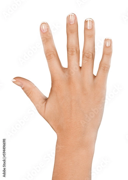 Fototapeta Raised Hand , Five Fingers