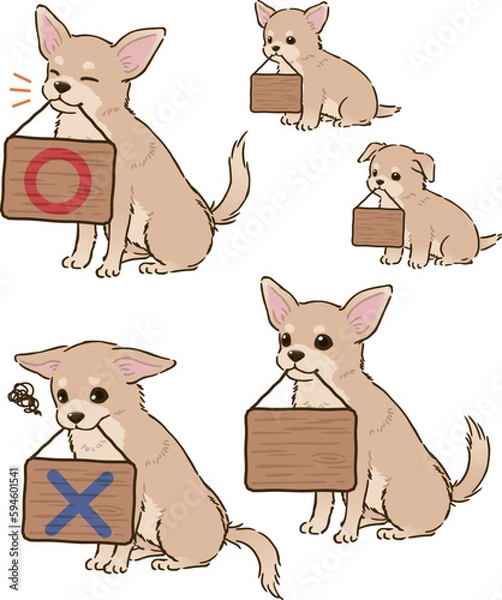 Obraz 看板をくわえるチワワ（スムースコート、クリーム）