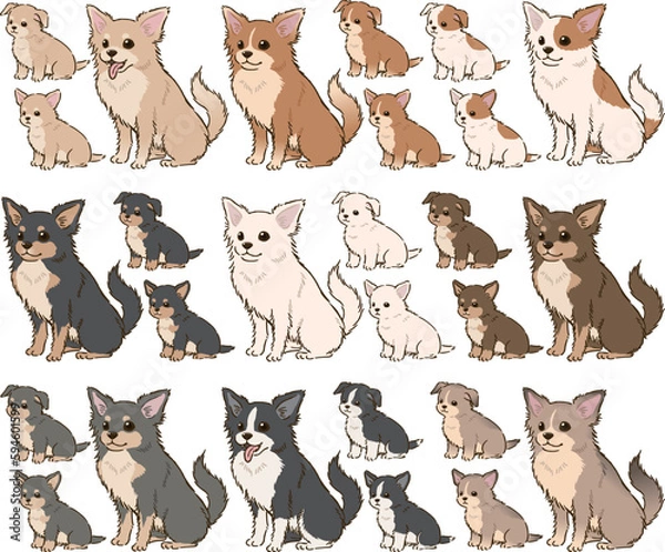 Obraz 色々な毛色のチワワ（ロングコート）