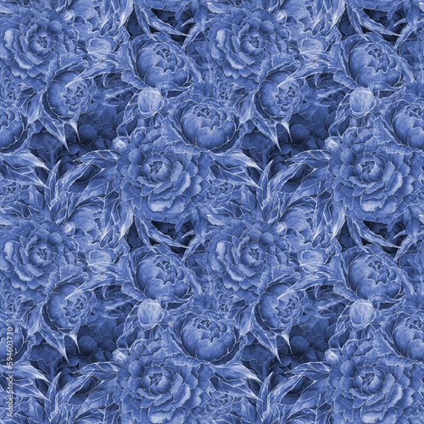 Fototapeta Solid Seamless Pattern, Watercolor Peonies with Line, Floral Fabric Print, Monochrome, Blue Monocolor