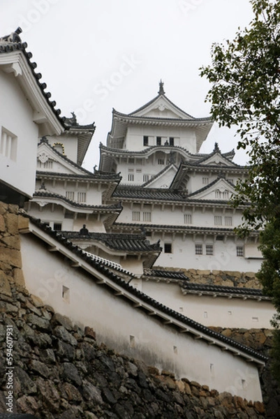 Fototapeta 姫路城