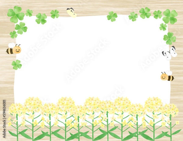 Fototapeta 菜の花とミツバチの背景フレーム