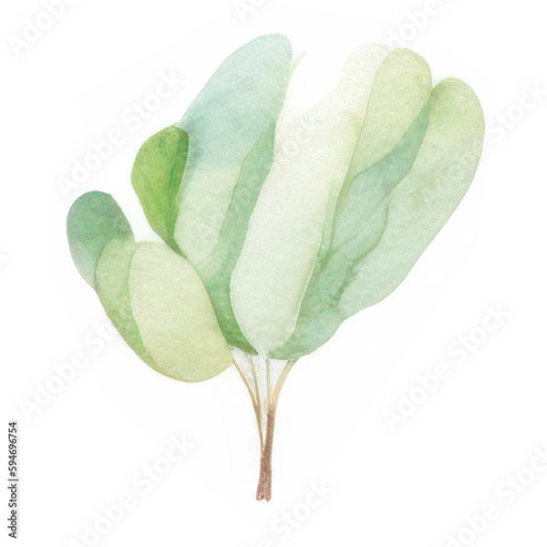 Obraz Watercolor Indoor Plants - Elements