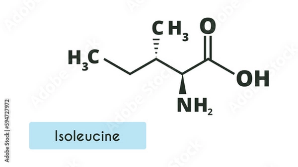 Fototapeta Isoleucine Molecule Structure. (L-isoleucine, Ile, I). Skeletal formula. Amino acid.