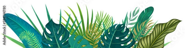 Fototapeta tropical frame