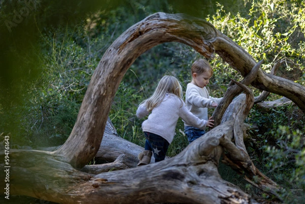 Obraz Two cute toddlers playing in the forest