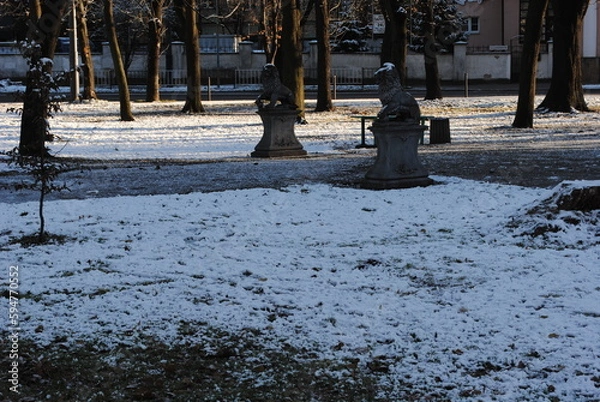 Obraz winter in the park