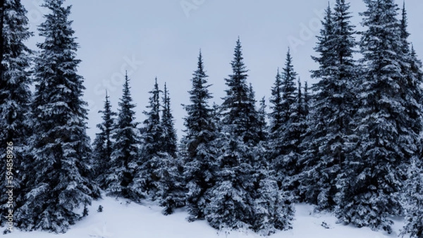 Obraz Winter canadian pine forest with snow