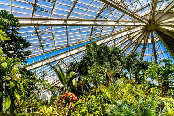 Fototapeta Parc Phoenix Park botanic and zoology garden greenhouse and flora collection in Ouest Grand Arenas district of Nice on French Riviera in France