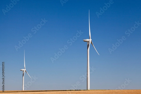 Fototapeta Wind turbines in a field