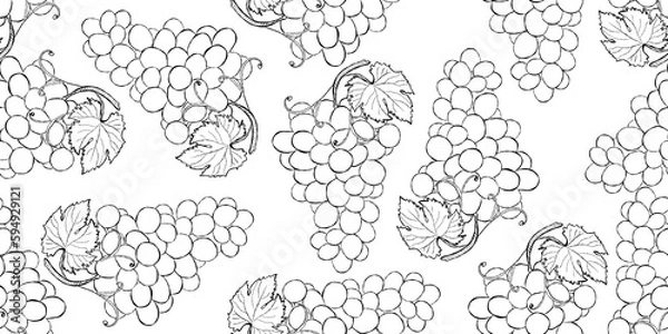 Obraz seamless background with grape doodle black and white