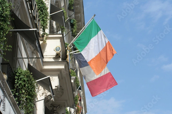 Fototapeta IMG_7607drapeaufrirl