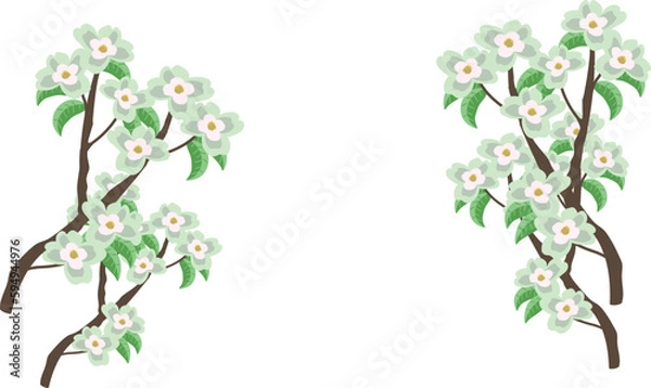 Obraz ハナミズキ　白　フレーム