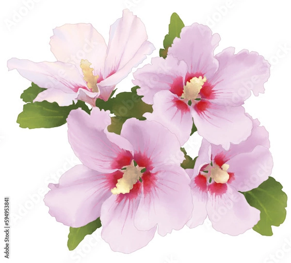 Obraz 무궁화, 한국의 국화