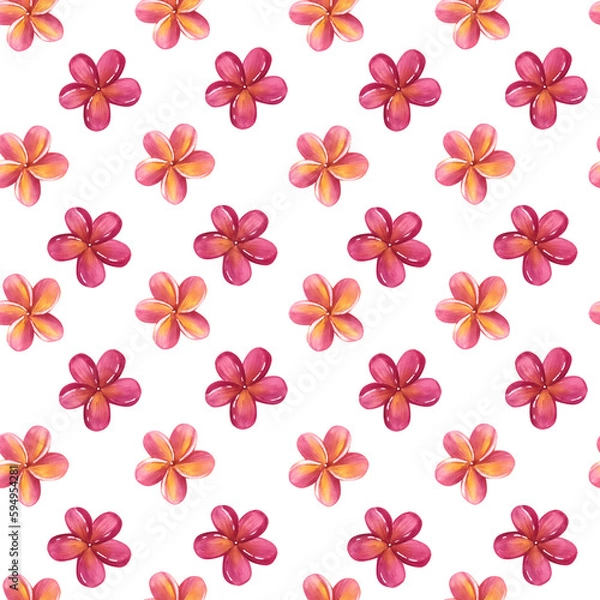 Fototapeta Seamless pattern Frangipani plumeria pink flowers. Jungle tropical exotic foliage. Hand-drawn watercolor illustration isolated on white background. For textiles, packaging, prints