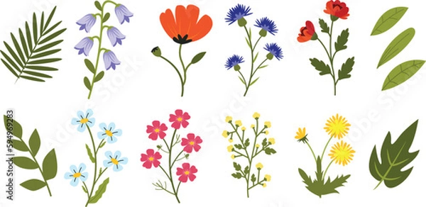 Fototapeta Field plants