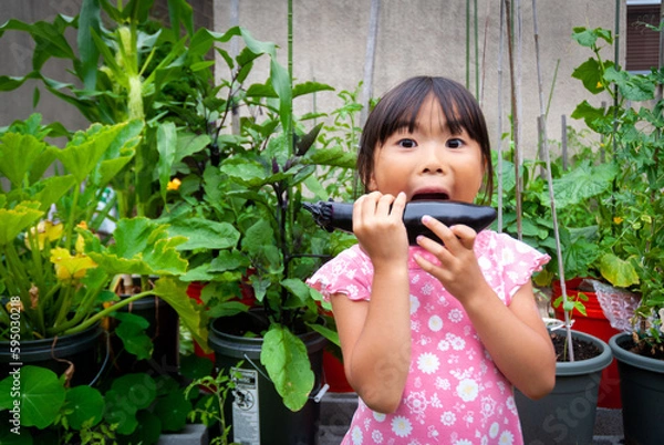 Obraz Young asian girl taking a big bite from eggplant from home container vegetable garden