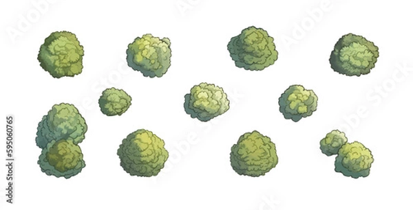 Obraz Set of various trees, bushes and shrubs, top view for landscape design plan or game design. Vector illustration in cartoon style, isolated on white background.