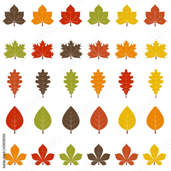 Obraz Jesienne liście