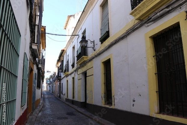 Fototapeta ヨーロッパの住宅街