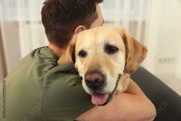 Fototapeta Man hugging his cute Labrador Retriever at home, back view