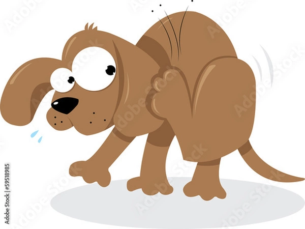 Obraz Piesek i pchły