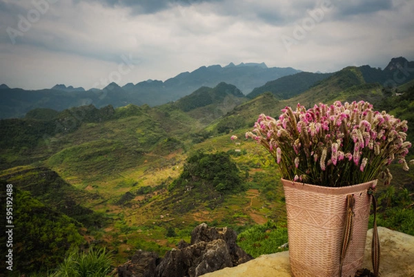 Obraz Hmong flower basket on Ha Giang loop in North Vietnam