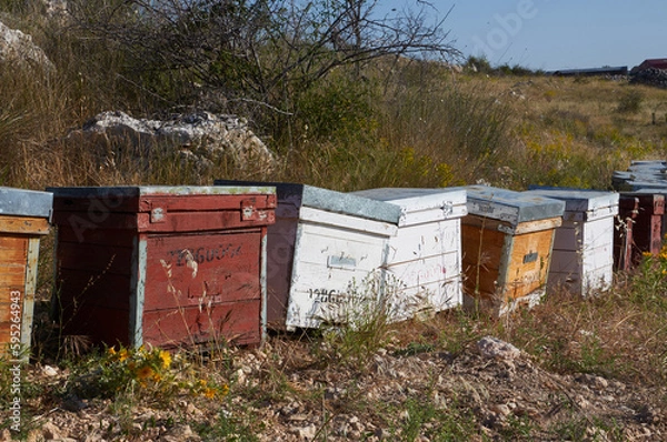 Obraz Colorful beehives in the middle of the Alcarria countryside
