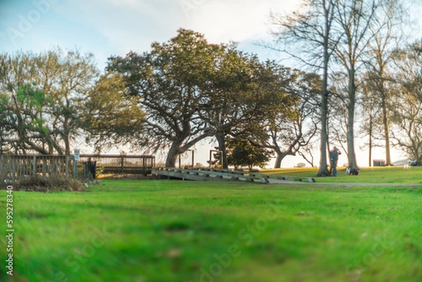 Fototapeta Sunset Beach Park