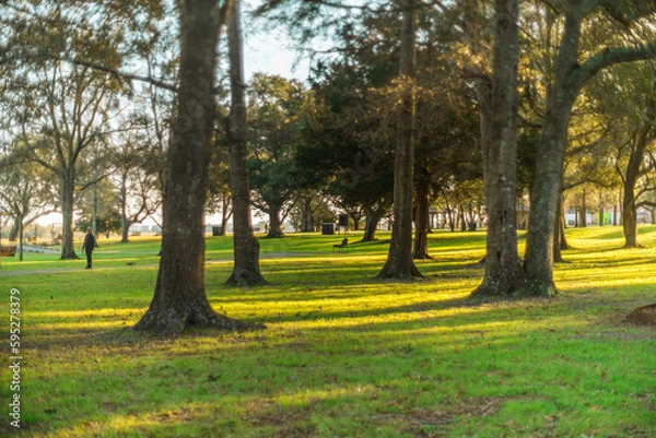 Fototapeta Sunset Beach Park