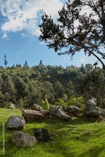 Fototapeta tree in the mountains