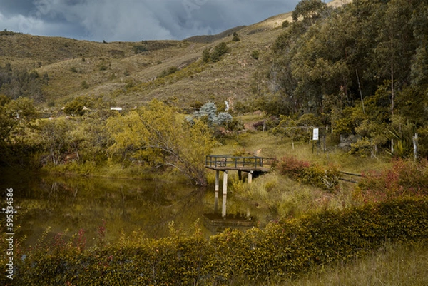 Fototapeta landscape with trees