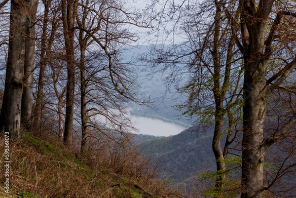 Obraz Spring Danube river bend panorama from Pilis