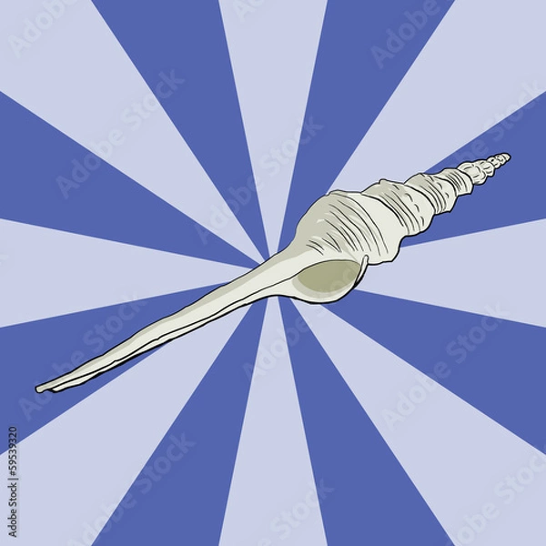 Fototapeta Fusinus ART