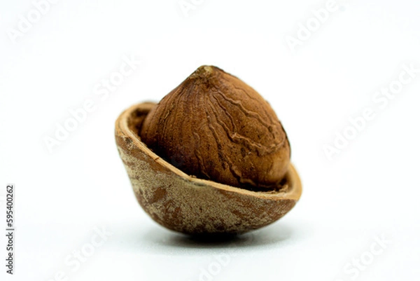 Obraz Hazelnut in a shell on white background
