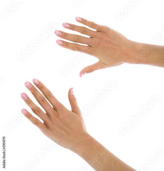 Obraz Woman hand on white background