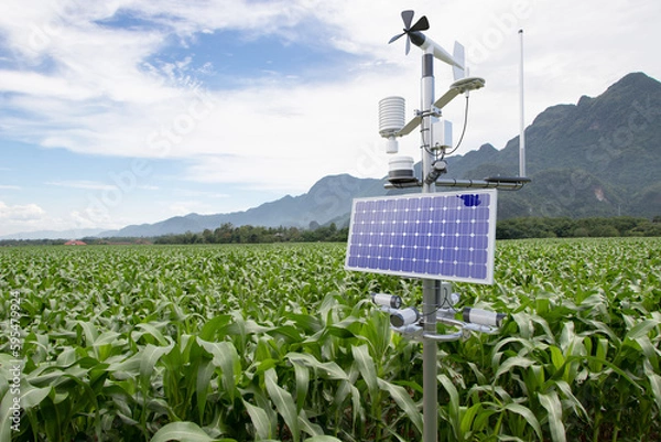 Fototapeta Weather station in corn field, 5G technology with smart farming concept