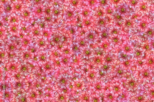 Obraz A pink flower background with a green center