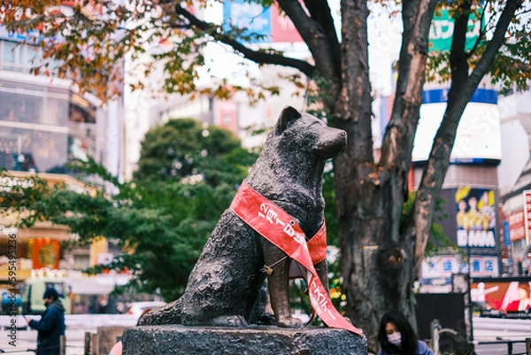 Fototapeta 【#東京】渋谷忠犬ハチ公の像