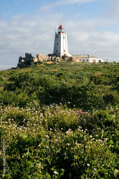 Obraz Cape Columbine Lighthouse